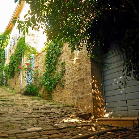 Вилла Ruine-Motovun Dh Экстерьер фото