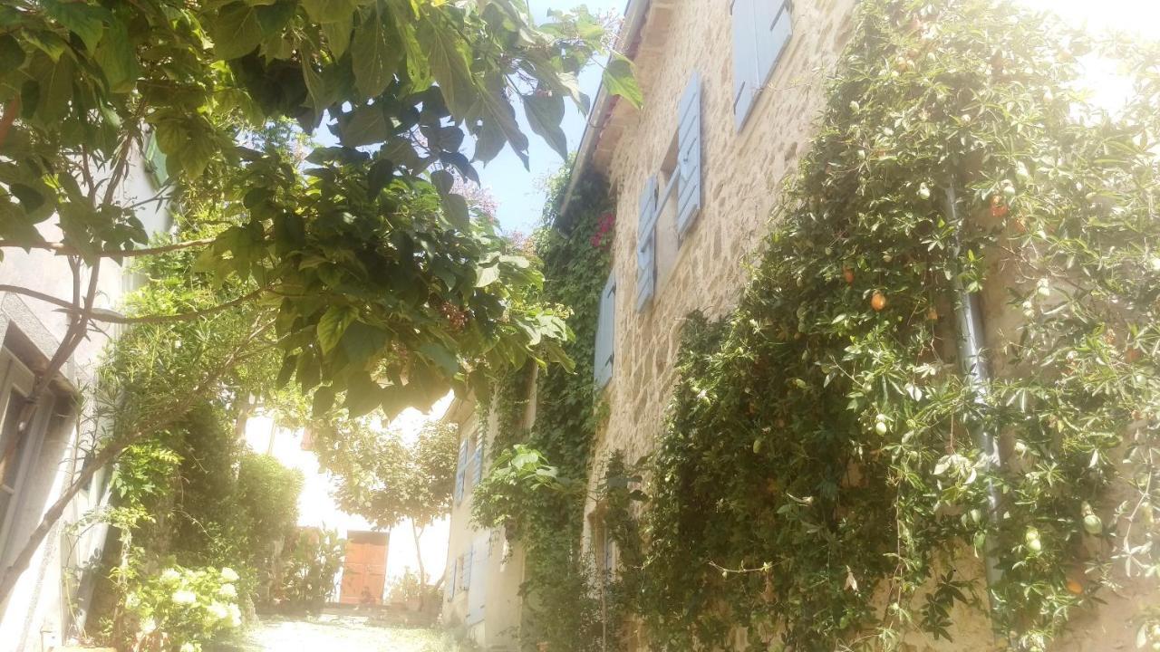 Вилла Ruine-Motovun Dh Экстерьер фото